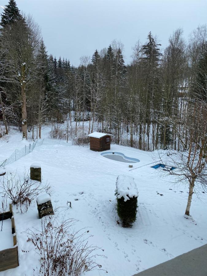 Verwoehn-Pension Wiesengrund Bischofsgrün Zewnętrze zdjęcie